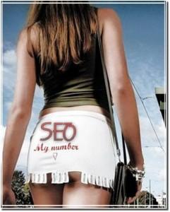 wordpress SEO Price SEO Cost